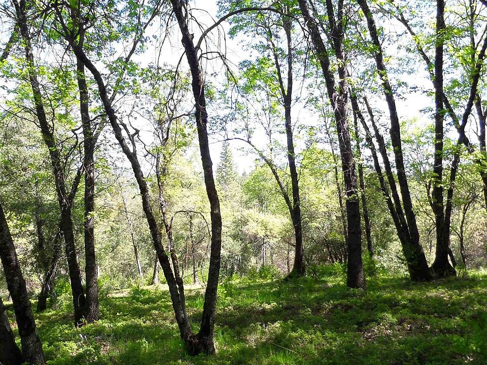 1st image of 17400 Deer Park