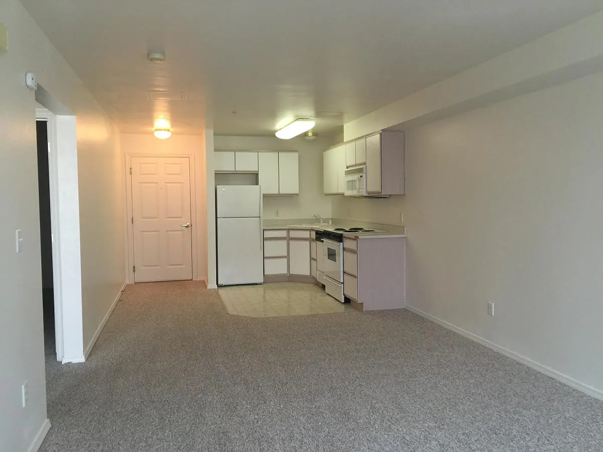 1 bed, 824 sqft, $1,150 — Photo 3