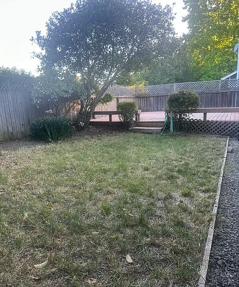 Backyard and Patio