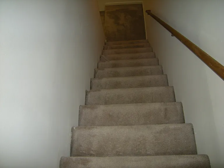 303 McDougal Ave — Photo 7