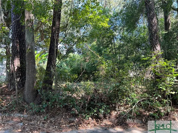 0 E 71st Street, Savannah, GA 31404