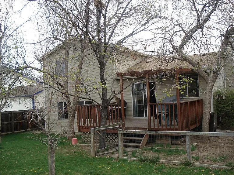 Backyard_01242013