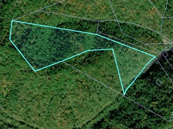 65 Hell Crk, Delbarton, WV 25670