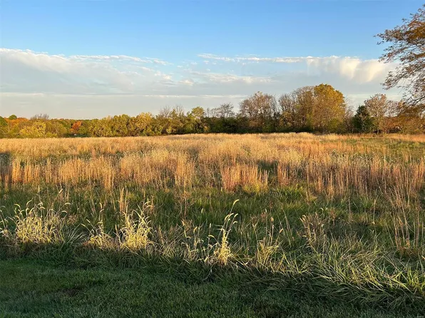 171 Falcon Pointe Dr, Silex, MO 63377