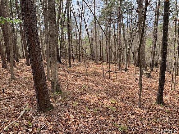 5th image of 0 County Road 229