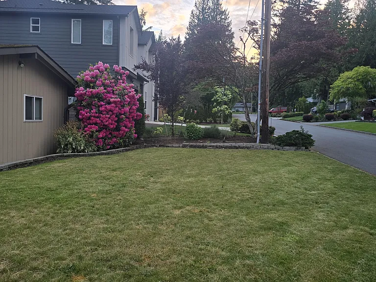 Front yard