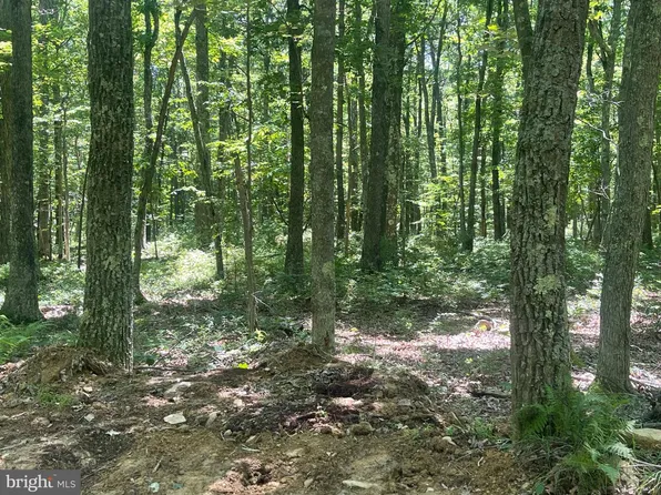 0 Schell Rd, Elk Garden, WV 26717