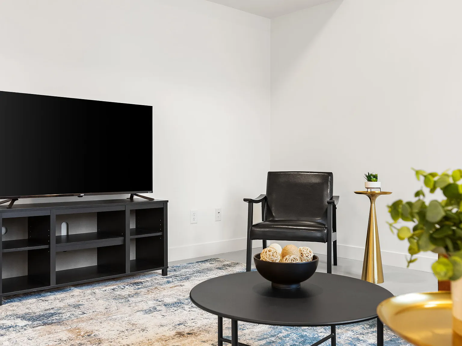 1 bed, 688 sqft, $1,250 — Photo 3