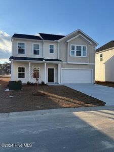 4310 Parsons Mill Drive Lot 273, Castle Hayne, NC, 28429