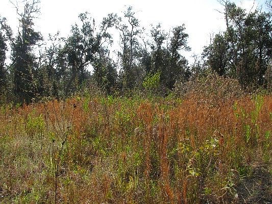 3rd image of Paradise Pkwy Lot 9