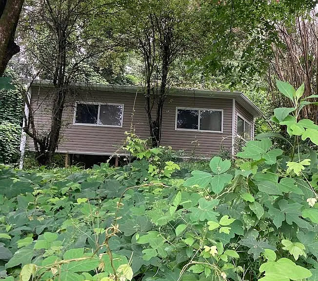 1015 Mount Olive Rd — Photo 8