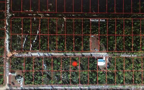 1st image of 1817 Nolana Ave