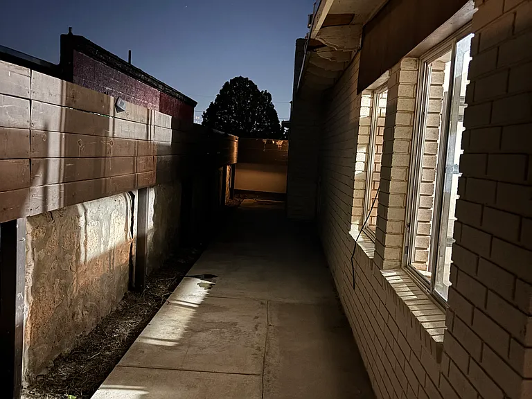outside dog run