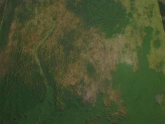 4th image of 531 Dial Creek Rd