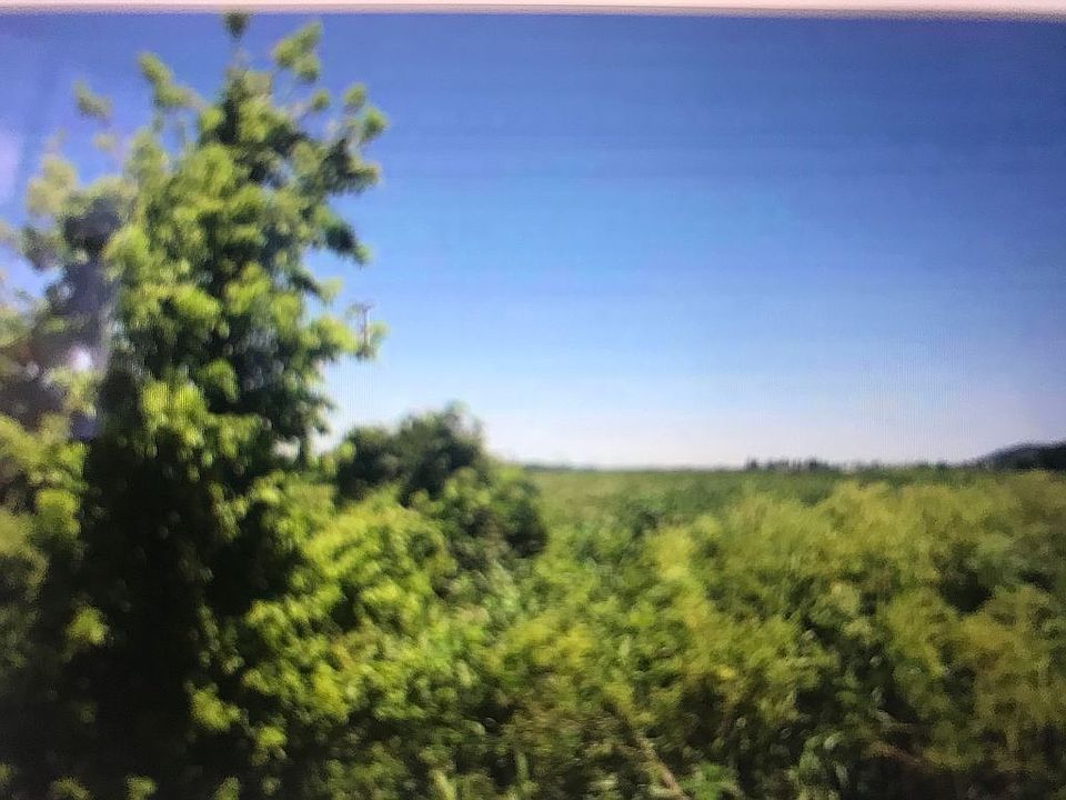 2nd image of 16000 SW 59th Hwy