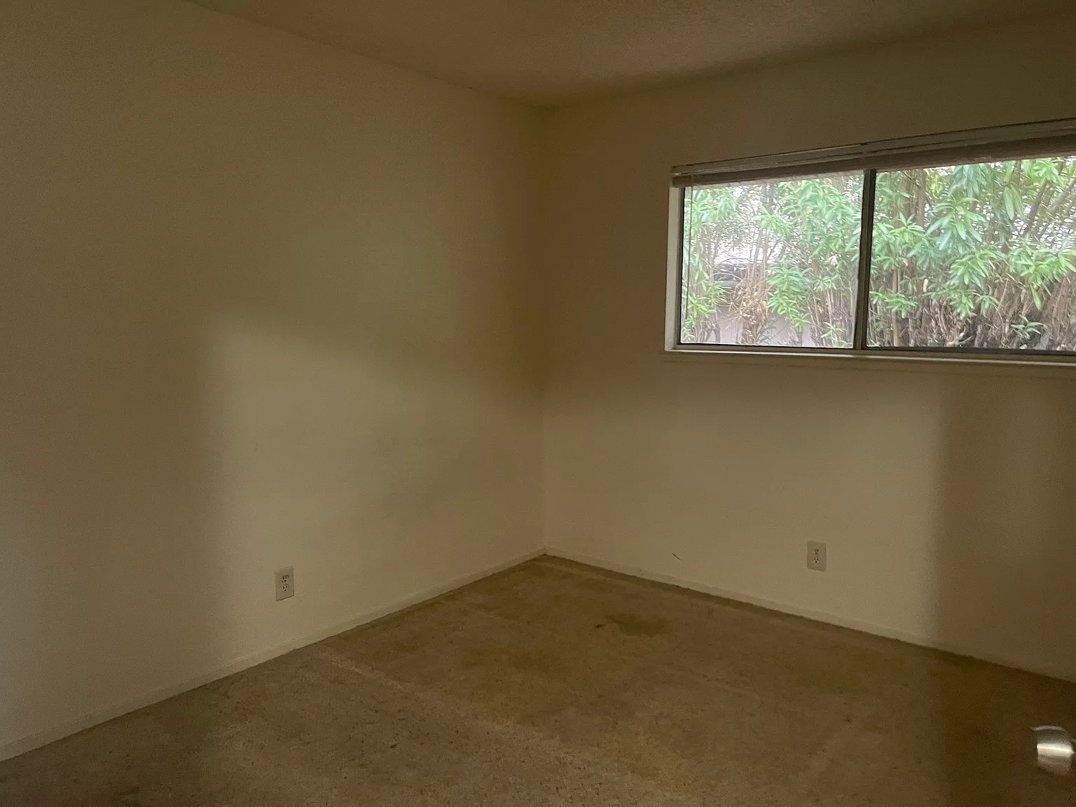 2 bed, $1,250 — Photo 4