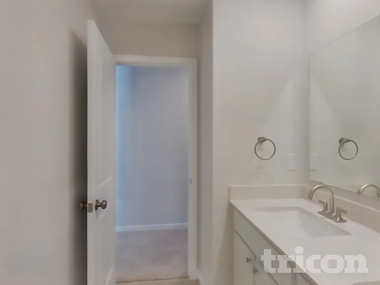 64 Brazil Nut Cir — Photo 13