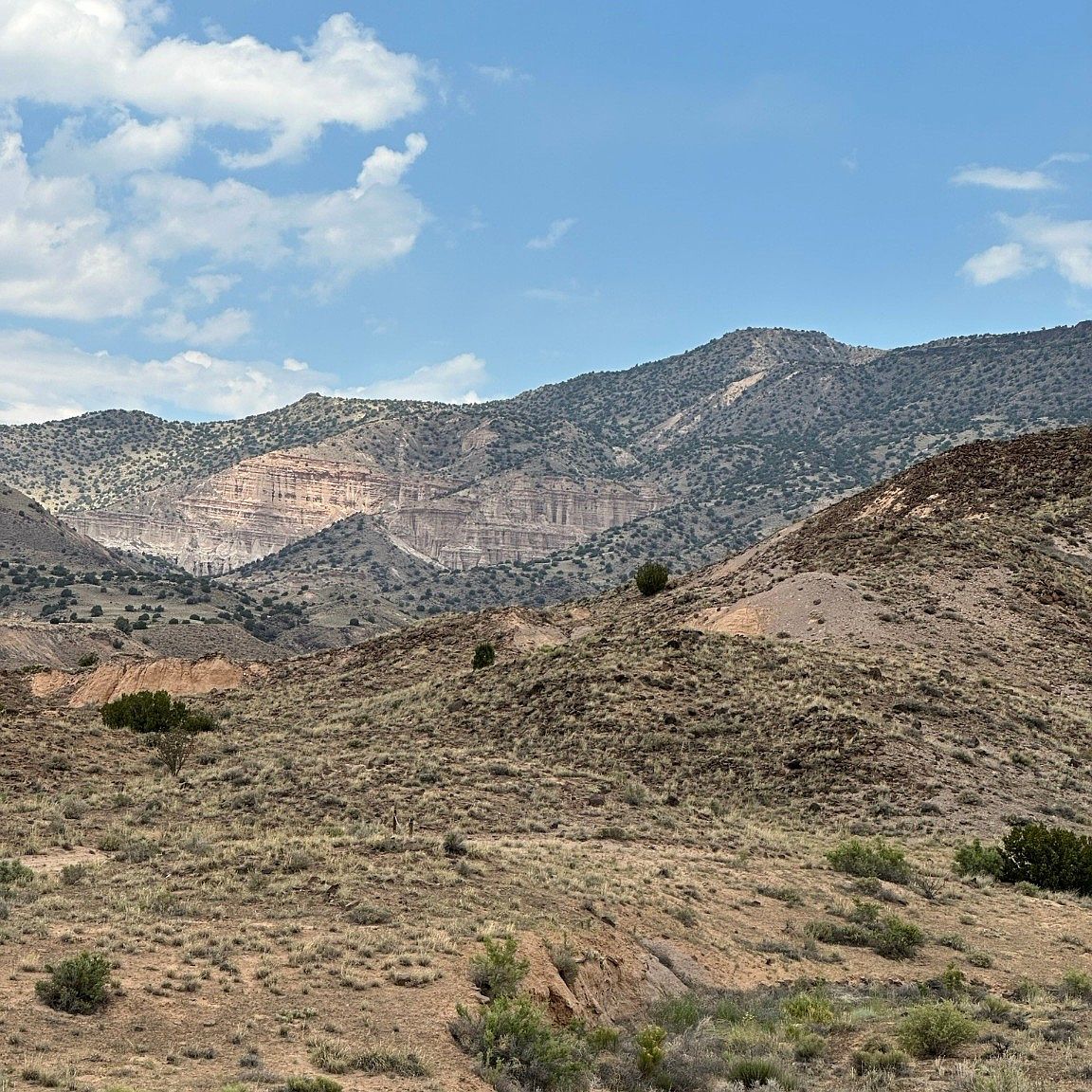 14 Blackfoot Trl, Abiquiu, NM 87510 MLS 202341889 Zillow