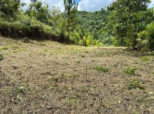 State Highway 186 8.2 Camino Rene Marques Cubuy #6-KM, Canovanas, PR 00729