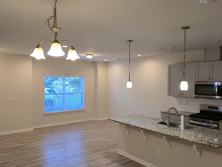 905 Robbie Jackson Ln — Photo 35