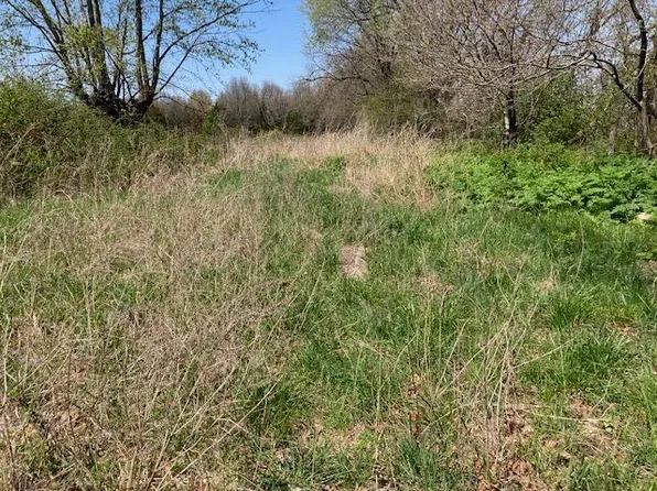 Tbd Banning Court, Marshfield, MO 65706