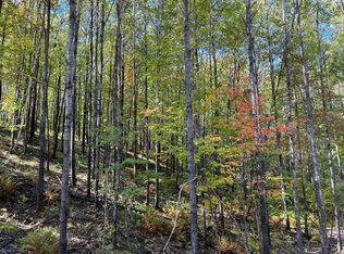 1 Ridgeway Ln, Walker, MN 56484