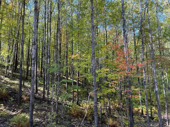 1 Ridgeway Ln, Walker, MN 56484