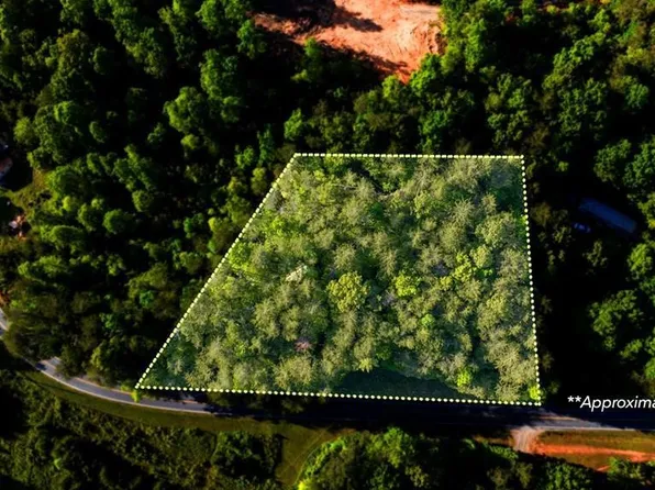 TR 3 W Gum Log Road, Warne, NC 28909