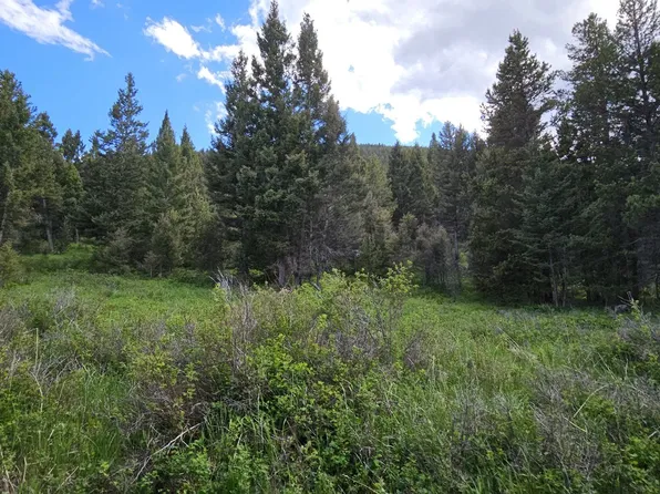 TRACT 11 Hall Creek Ln, Helmville, MT 59843