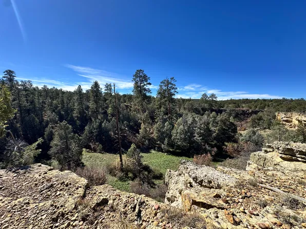 Nsn Forest Rd #131-C, Los Ojos, NM 87551
