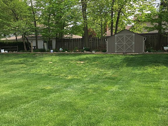 Backyard and shed
