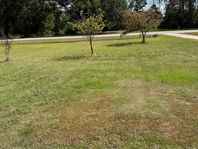 3416 Grainger Station Rd — Photo 2