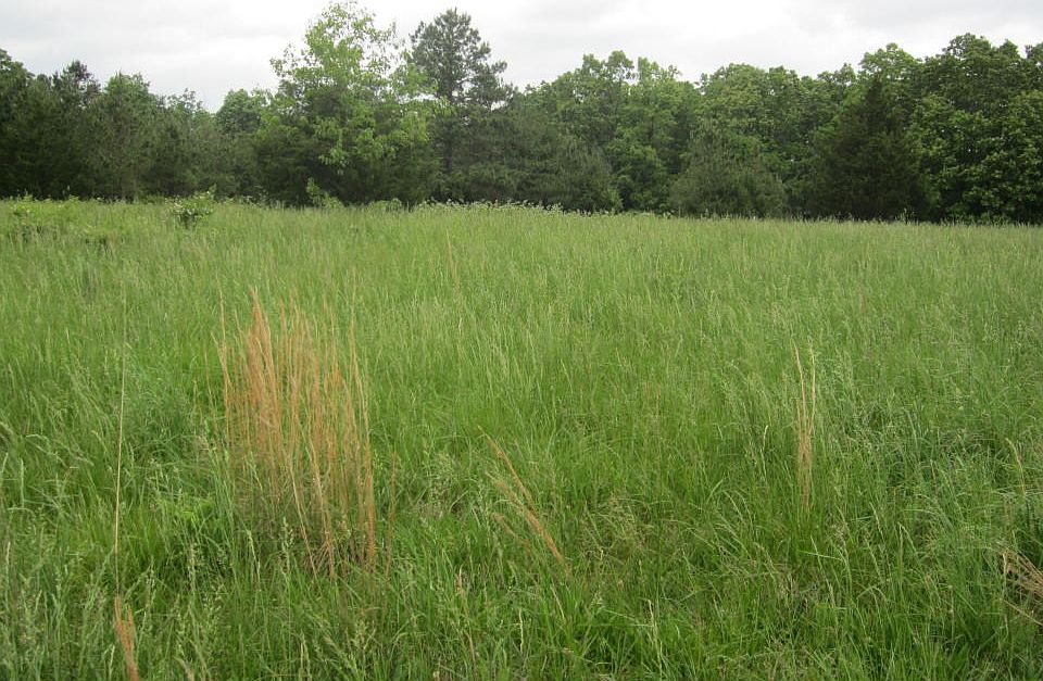 1st image of 20037 Wildwood Dr