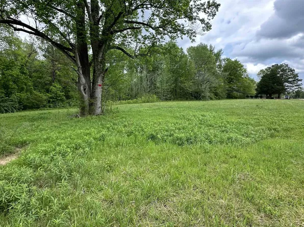 3505 Christmasville Rd Tract 4, Oakfield, TN 38362
