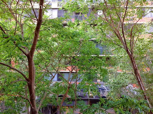 Sold by Corcoran | media 2