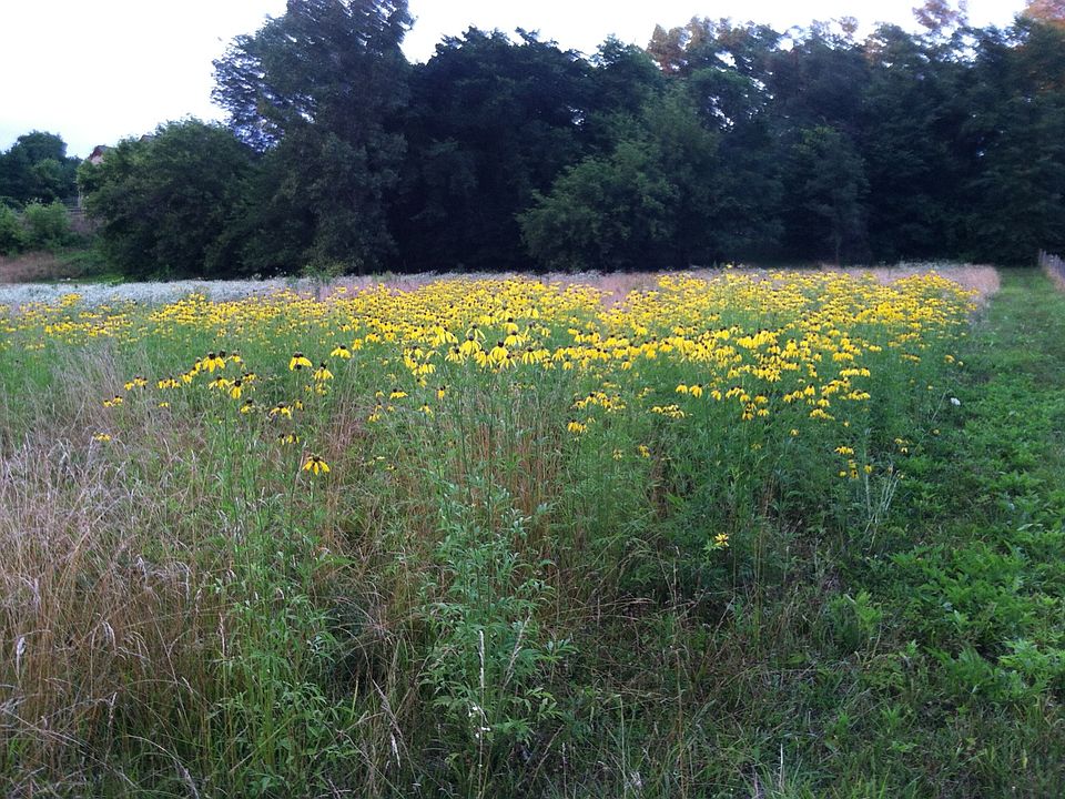 2nd image of South Of 24067 West River Rd.