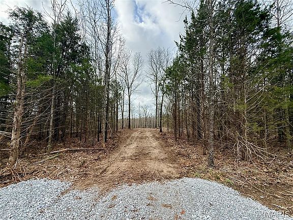 2nd image of 0 Highway Cc Tract #A