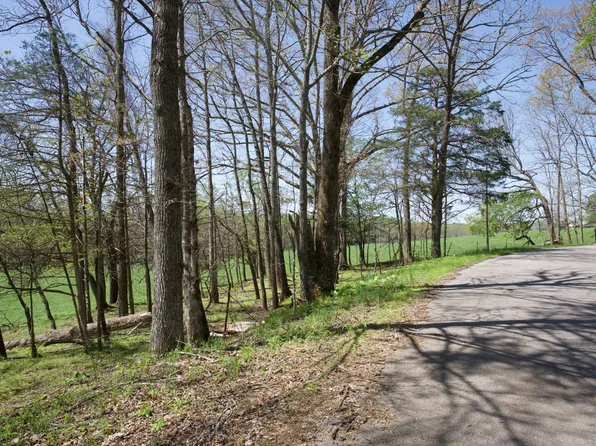 445 Boyd Creek Rd, Sparta, TN 38583