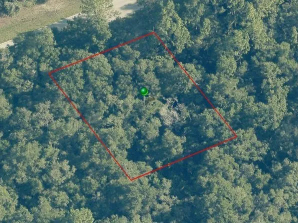 10225 N Country Club Way, Citrus Springs, FL 34434