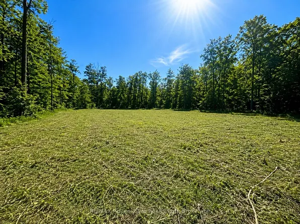 1293 David Fife Line, Otonabee South Monaghan, ON K0L 2G0