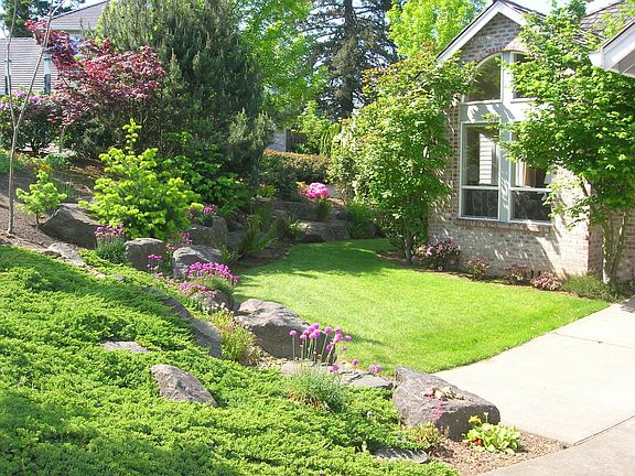 Front yard/Rock garden