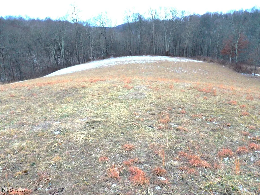 50877 Moore Ridge Rd photo 1