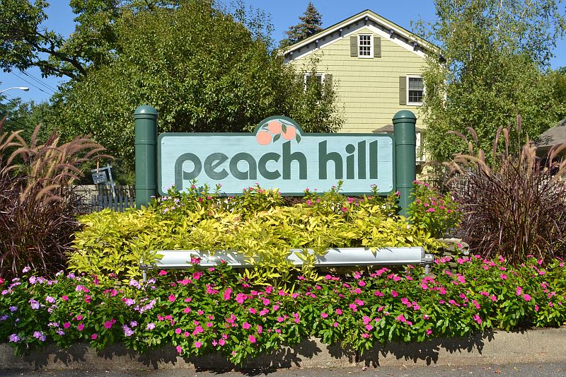 1st image of 8 N PEACH HILL CT
