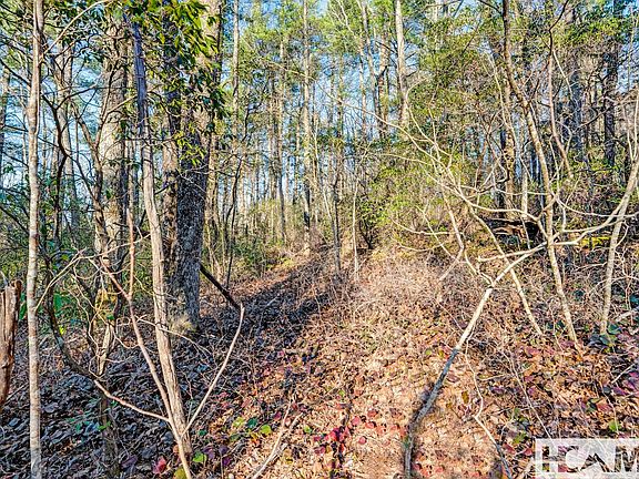 5th image of Lot 21 Hardscrabble Ridge