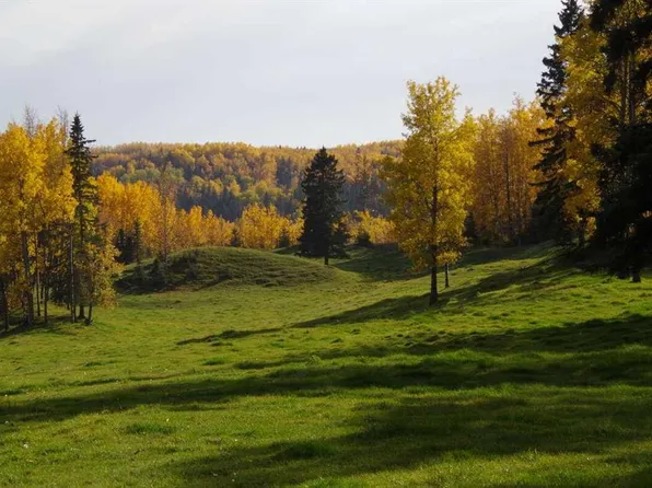 62076 B S James River Rd, Clearwater County, AB T0M 1C0