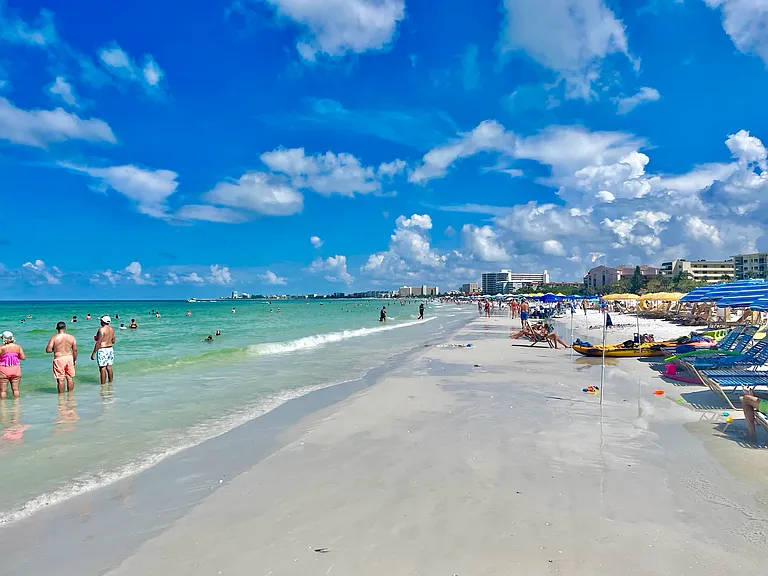 Sabal Dr — Photo 19