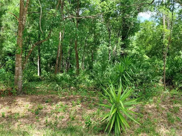 Davista, New Pt Richey, FL 34654