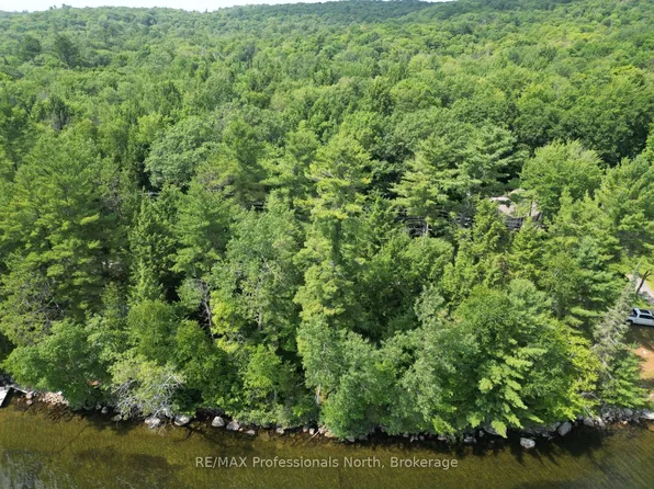 0 Halls Lake Rd, Algonquin Highlands, ON K0M 1S0