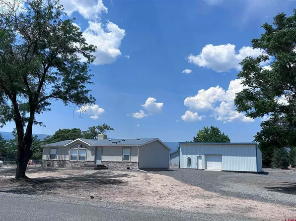 20696 Del Ray Drive, Eckert, CO 81418