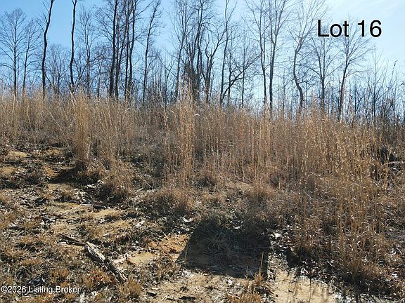 2nd image of 563 Gunner Rd